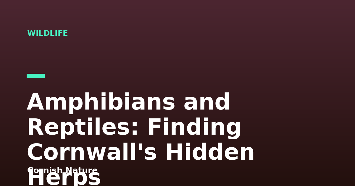 Amphibians and Reptiles: Finding Cornwall's Hidden Herps